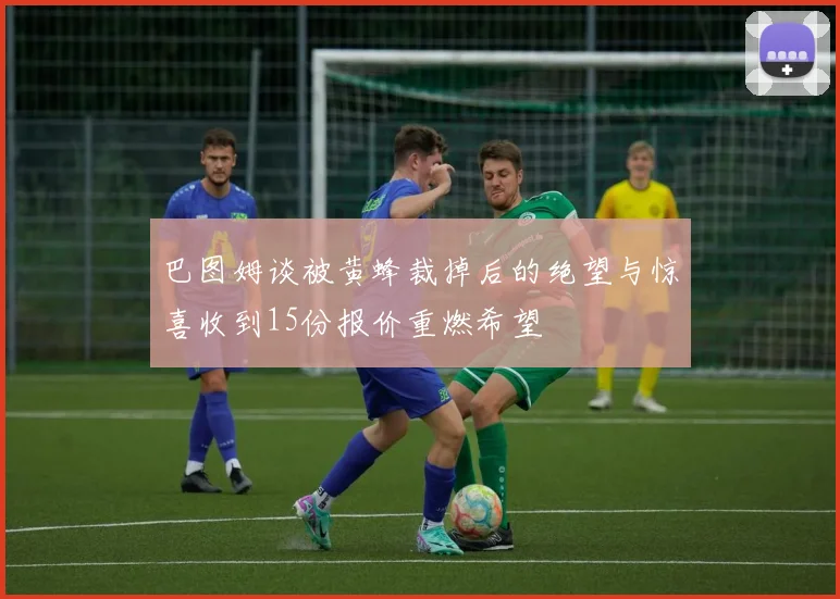巴图姆谈被黄蜂裁掉后的绝望与惊喜收到15份报价重燃希望