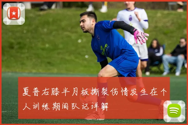夏普右膝半月板撕裂伤情发生在个人训练期间队记详解
